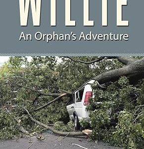 Willie: An Orphan’s Adventure