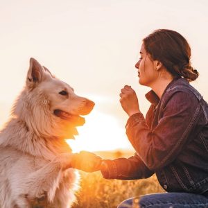 Encounters With Animals