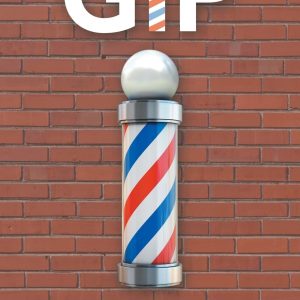 GIP: A Fishbowl Novel Based on an FBI Program