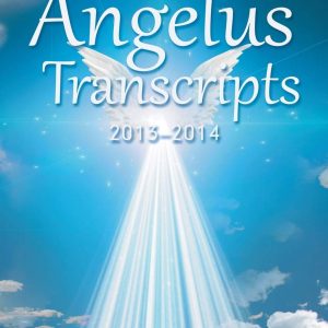 The Angelus Transcripts: 2013-2014
