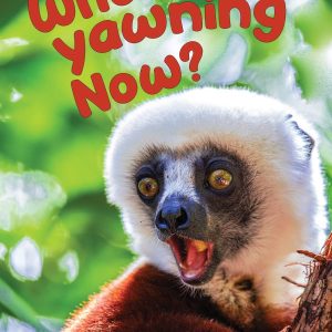 Who’s Yawning Now?